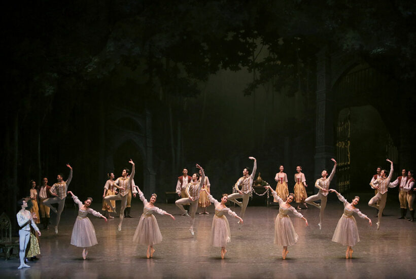 Het Grootste Zwanenmeer ter wereld in het Luxor Theater